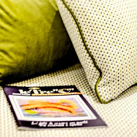 Artis Guest house