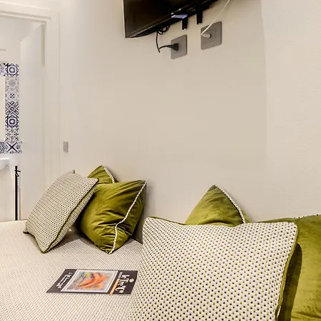 Artis Guest house
